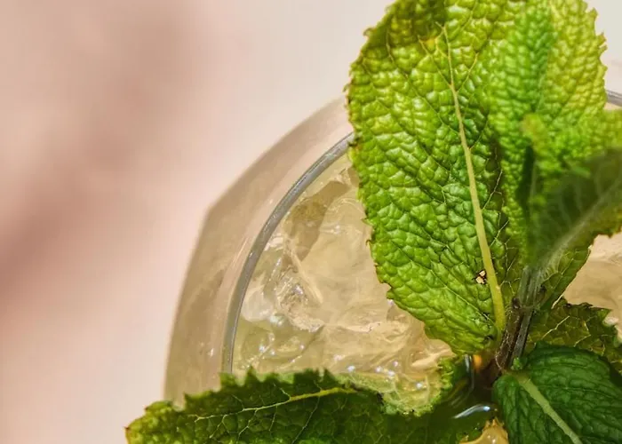 فندق Boutique Soclo