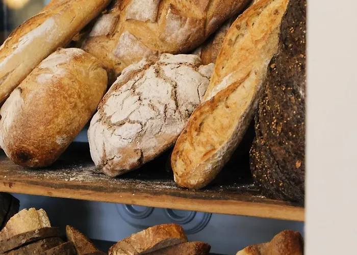 Boutique Soclo ホテル 4*