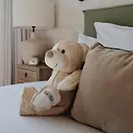 Отель Boutique Soclo 4*